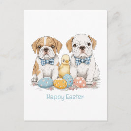 Cartão Postal De Festividades Feliz Páscoa English Bulldogs