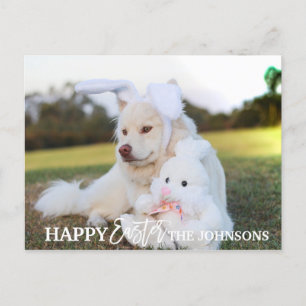 Cartão Postal De Festividades FELIZ PÁSCOA Retriever Cão Cachorrinho Orelhas de 
