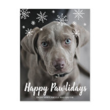 Feliz Pawlidays Snowflakes Foto de Cachorro Natal