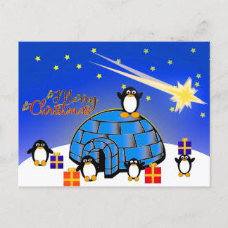 Cartão Postal De Festividades Feliz Pinguim de Natal
