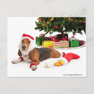 Cartão Postal De Festividades Felizes Feriados/Dezembro