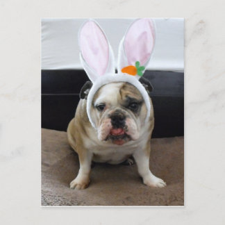 Cartão Postal De Festividades Felz pascoa