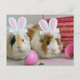 Cartão Postal De Festividades felz pascoa