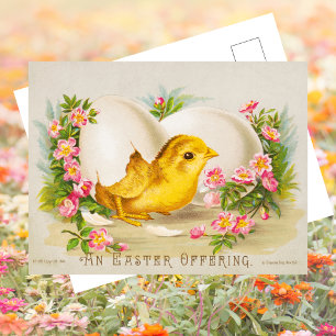 Cartão Postal De Festividades Felz pascoa Floral De Ovos De Pintinho Tradicional