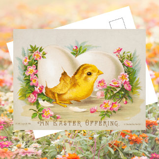 Cartão Postal De Festividades Felz pascoa Floral De Ovos De Pintinho Tradicional