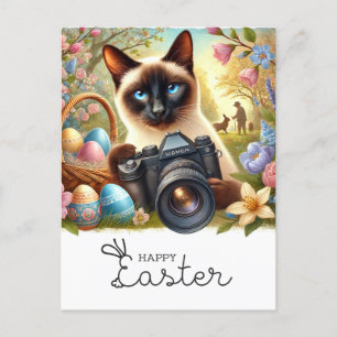Cartão Postal De Festividades Felz pascoa para gatinhos