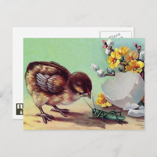 Cartão Postal De Festividades Felz pascoa. Pintinho Vintage