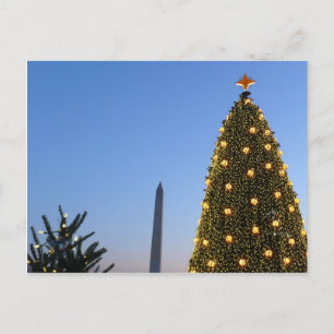 Cartão Postal De Festividades Feriado das Árvores de Natal II em DC