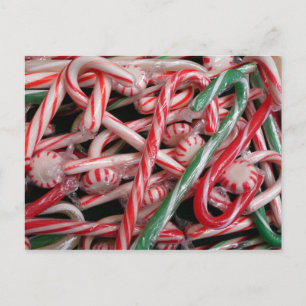 Cartão Postal De Festividades Feriado de Natal Candy Canes and Peppermints