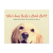 Feriado Engraçado de Cachorro | Saudação de Foto