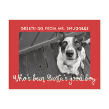 Feriado Engraçado de Cachorro | Saudação de Foto