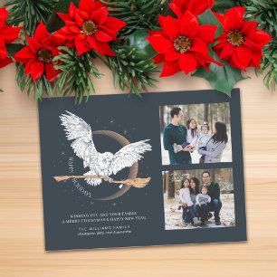 Cartão Postal De Festividades Férias Felizes Entrega da Hedwig   Foto de Família