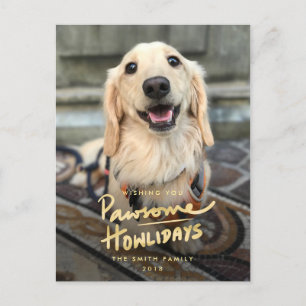 Cartão Postal De Festividades Férias Patascudas Foto Engraçada de Cachorro com T