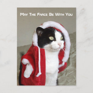 Cartão Postal De Festividades Ficha de Posto Engraçado de Gato com Paródia Fic