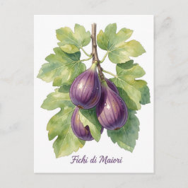 Cartão Postal De Festividades Fichi di Maiori – Figo Italiano Jardim Botânico da