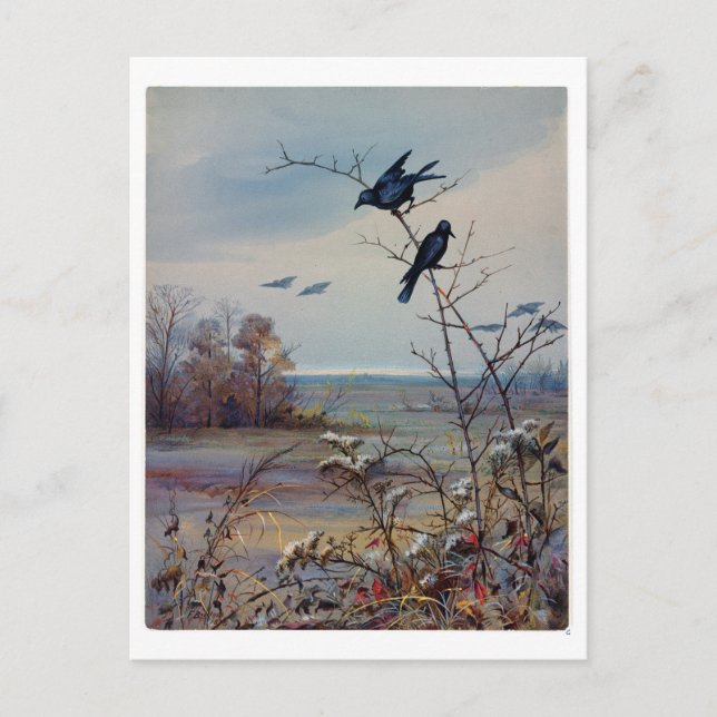 Cartão Postal De Festividades Fidelia Bridges (Frente)