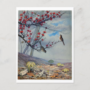 Cartão Postal De Festividades Fidelia Bridges