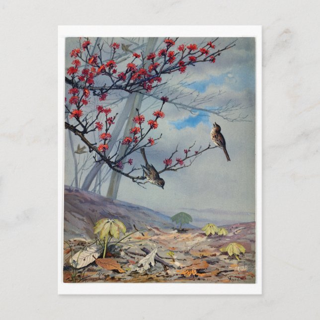 Cartão Postal De Festividades Fidelia Bridges (Frente)