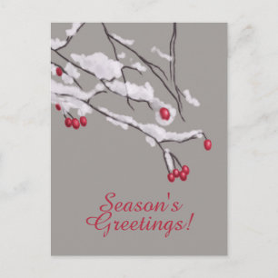 Cartão Postal De Festividades Fileiras De Berries De Inverno Em Snow Seasons Sau