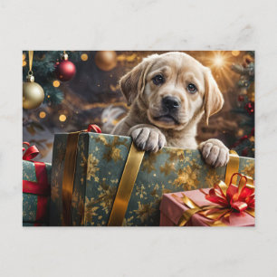Cartão Postal De Festividades Filh