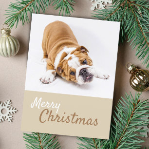 Cartão Postal De Festividades Filhote de Bulldog Inglês Foto Natal Personalizado