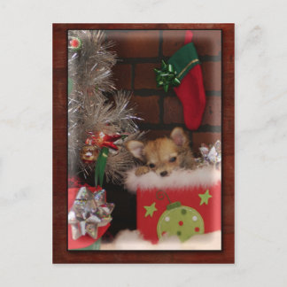 Cartão Postal De Festividades Filhote de cachorro bonito da chihuahua do Natal