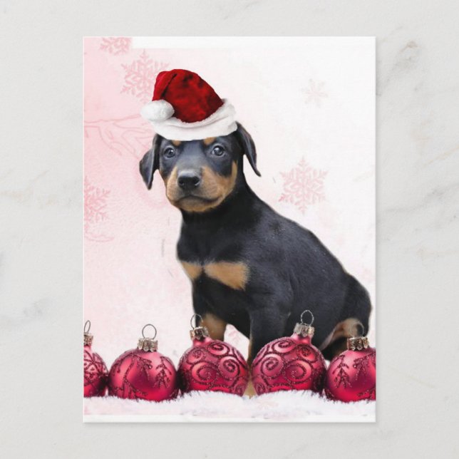 Cartão Postal De Festividades Filhote de cachorro do Doberman do Natal (Frente)