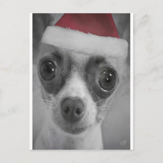 Cartão Postal De Festividades Filhote de cachorro engraçado da chihuahua do