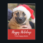 Cartão Postal De Festividades Filhote de cachorro no negócio do cuidado do cão<br><div class="desc">Este filhote de cachorro adorável em um chapéu do papai noel é ideal para cumprimento dos caminhantes época natalícia de um cão ou do cartão de Natal para clientes, ou um canil, uma adopção do animal de estimação ou uma organização dos cuidados dos animais de estimação. Para qualquer um que...</div>
