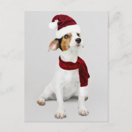 Cartão Postal De Festividades Filhote de Jack Russell usando chapéu de Papai Noe