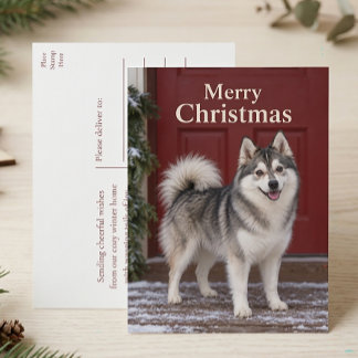 Cartão Postal De Festividades Filhote de Pomsky Fofo Amante de Cachorro Feliz Na