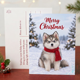 Cartão Postal De Festividades Filhote de Pomsky Fofo Amante de Cachorro Husky Fe