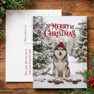 Cartão Postal De Festividades Filhote de Pomsky Fofo Amante de Cachorro Husky Fe