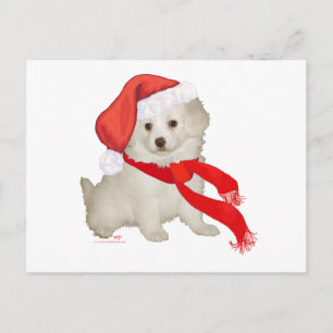 Cartão Postal De Festividades Filhote Poodle / Bichon Misturado de Papai Noel