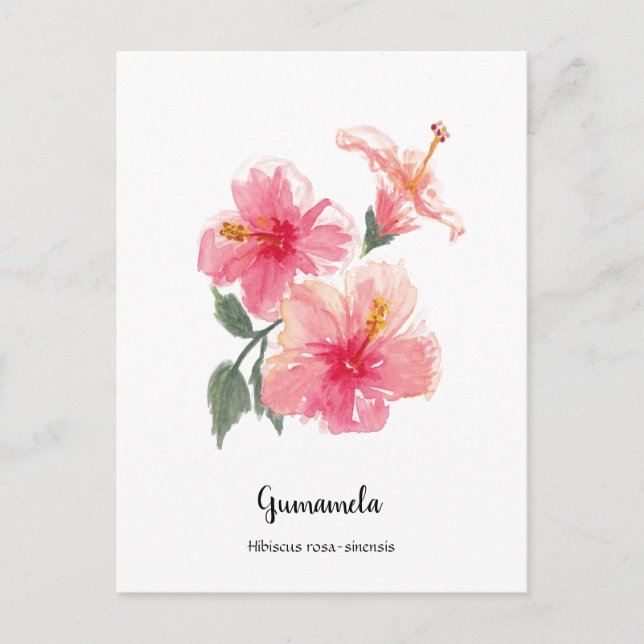 Cartão Postal De Festividades Filipinas Gumamela Hibiscus Watercolor Poster (Frente)