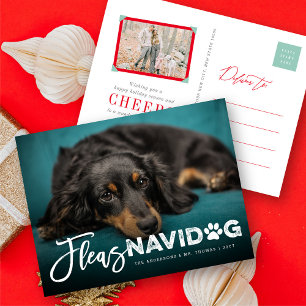 Cartão Postal De Festividades Fleas Navidog Paw Print Dog Lover Photo Funny Pet