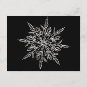 Cartão Postal De Festividades Floco de neve perfeito para o Natal