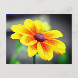 Cartão Postal De Festividades Flor Amarelo-Laranja-Solteiro Elegante