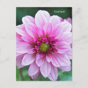 Cartão Postal De Festividades Flor Dahlia. Boa sorte