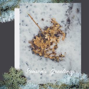 Cartão Postal De Festividades Flor de Hortensia na neve