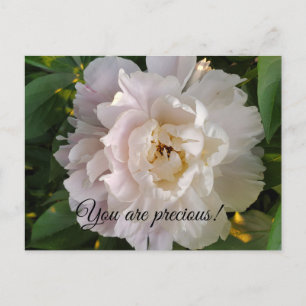 Cartão Postal De Festividades Flor de peônia