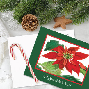 Cartão Postal De Festividades Flor de Poinsettia Botânica