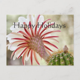 Cartão Postal De Festividades Flor Noturna, boas festas