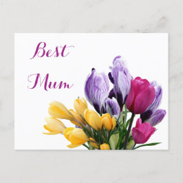 Cartão Postal De Festividades Flores bonito de tulipa amarela-púrpura, cor-de-ro