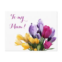 Flores bonito de tulipa amarela-púrpura, cor-de-ro