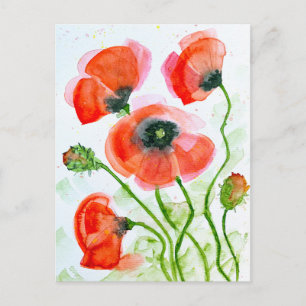 Cartão Postal De Festividades Flores de papoula aquarela no verão