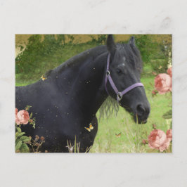 Cartão Postal De Festividades Flores de Verão