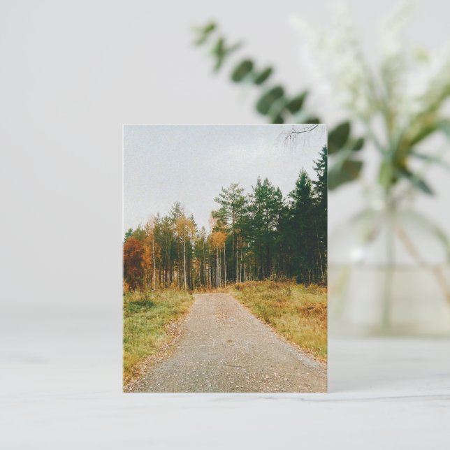 Cartão Postal De Festividades Floresta Automática Sueca (Em pé/Frente)