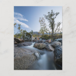 Cartão Postal De Festividades Foto da Noruega Nature