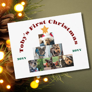 Cartão Postal De Festividades Foto da Primeira Natal do Cachorro no Tree, Person